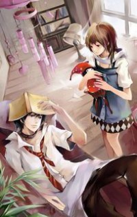一品宰辅