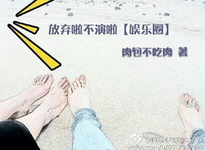 放弃啦不演啦[娱乐圈]